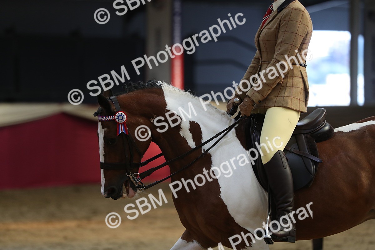 SBM_08333 - Class 11R Regional Ridden Veteran