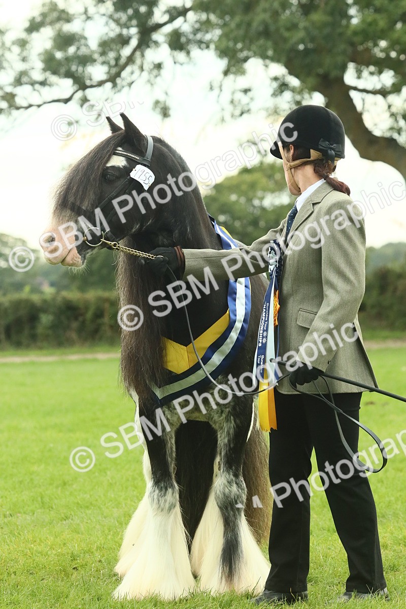 SBM_75178 - Super Supreme Championship