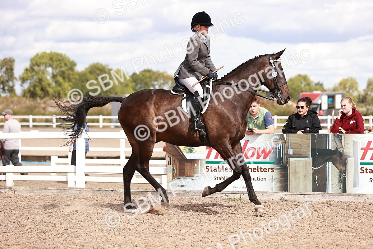 SBM_14423 - Class 410 - Grassroots Ridden - Horse