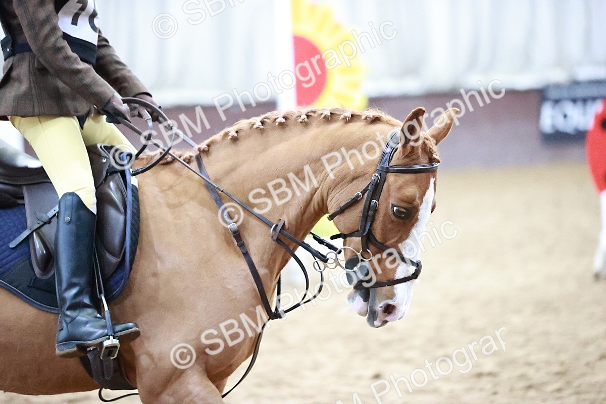 SBM_000219 - Class 2 - 50cm