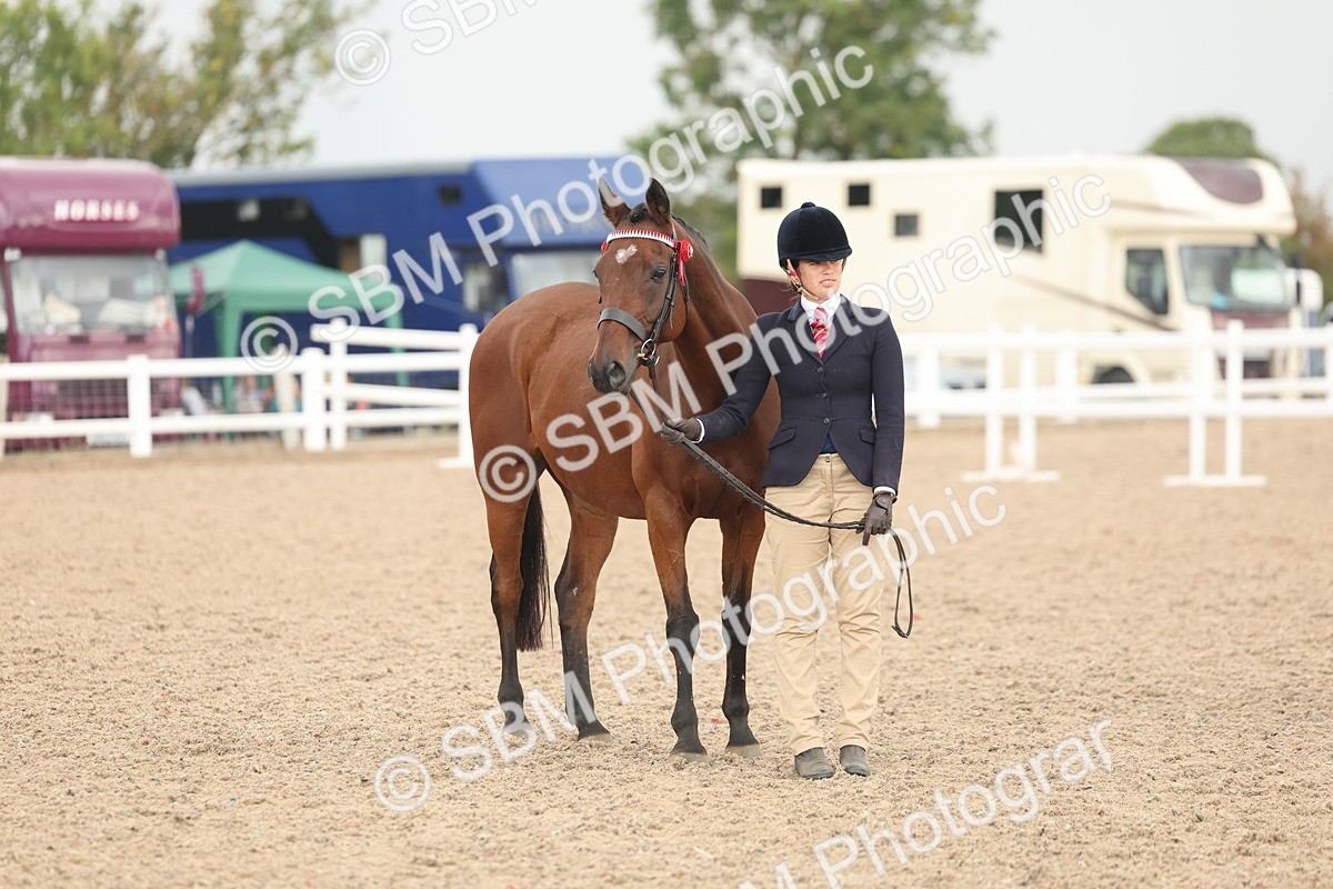 SBM_07652 - Class 26 - IH Foreign Breeds - Part Bred