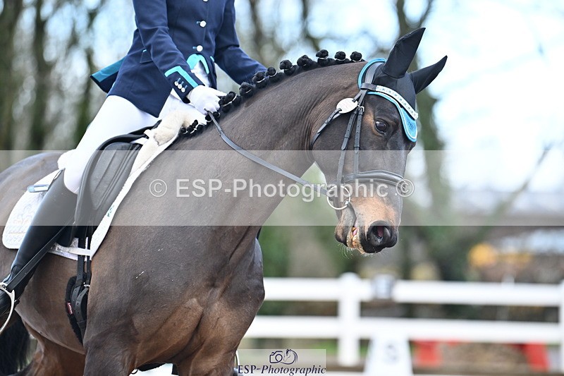 240218A-105501-05738 - 232-Alys.Matravers-VORVASHILL.VERTIGO