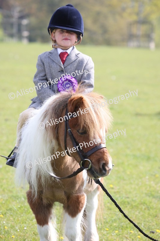 20260426-0522 - Class 30 - Tiny Tots Lead Rein