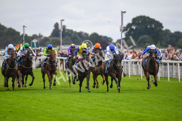 240823-Race 3-Ropey Guest-0358 - Race 3 3.00pm Clipper Handicap