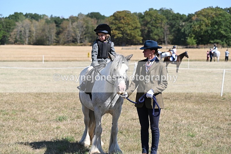WJ6_8164 - Class 36 Lead Rein