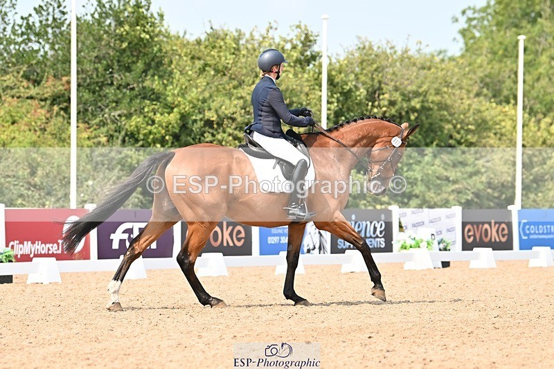 250816-134618-04755 - 117-Sophie.HawkeENORMOUSE