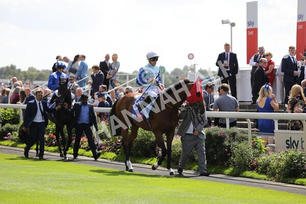 yr20082022r1-16 - Race 1 1.50pm Sky Bet & Symphony Group Strensall Stakes