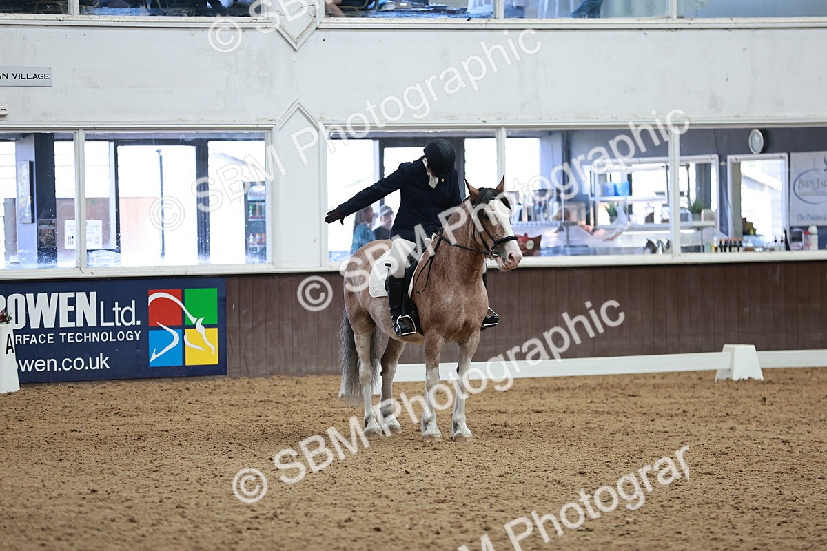 SBM_014216 - Class 7 - Ele FSM Bronze 12.12.13.08