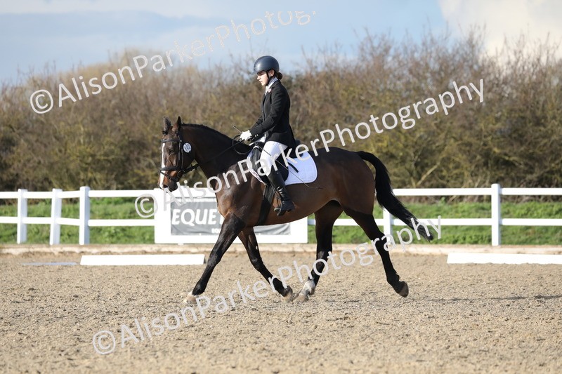 20260314-5949 - DR9 - PYO