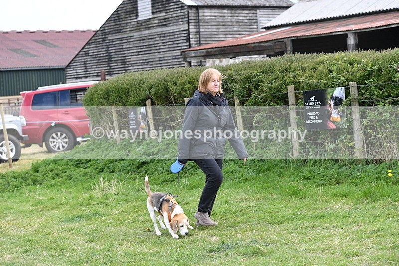 WJ5_0012 - Class 5 Best Veteran / 7 years & over