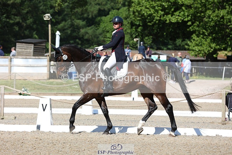 230526-094049-05134 - 357-VIVENDI_HERO-Saffron_Cresswell-WEDTrotUp+DR