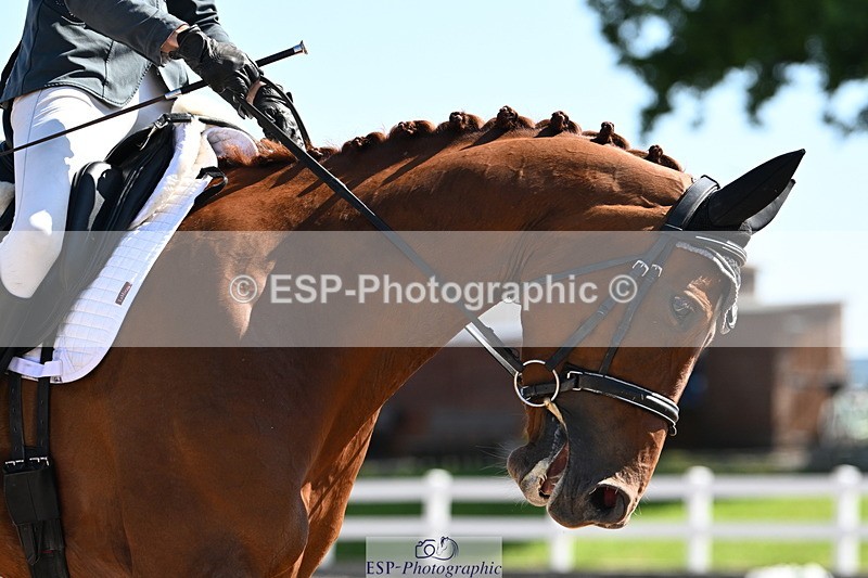 240621A-100658-01704 - Cls 2 BD Prelim 19