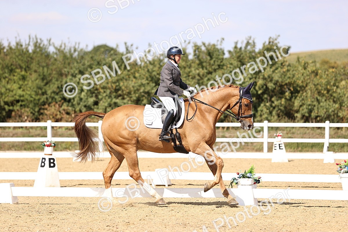 SBM_015088 - Class 6 - Elementary 5