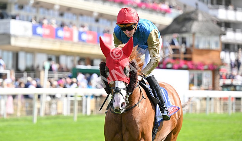 220826-018 Damysus - Race 1 13.50pm Sky Bet Strensall Stakes