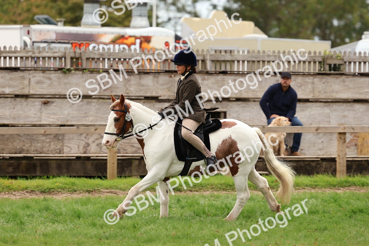 SBM_64604 - S58 - Coloured Pony Ridden