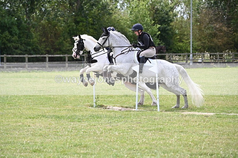 WJ6_6793 - 80cm XC Pairs