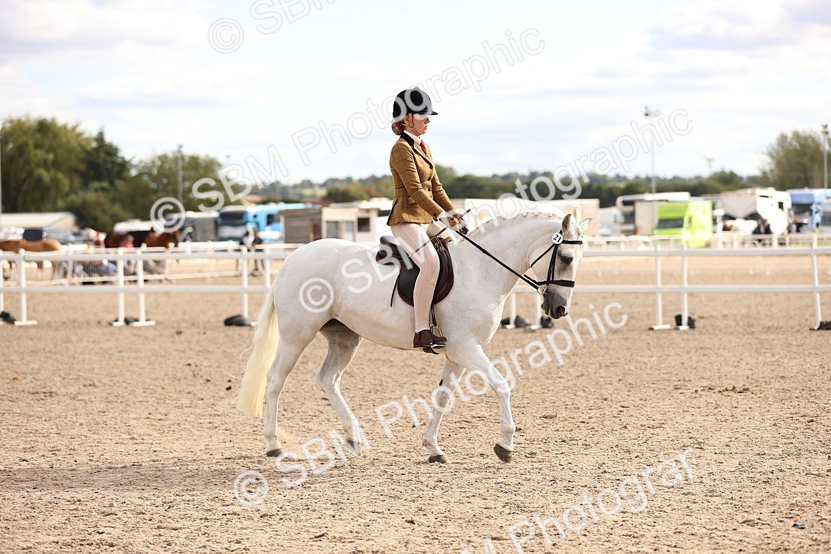 SBM_18101 - Class 422 - Equitation (Best Rider) Jnr