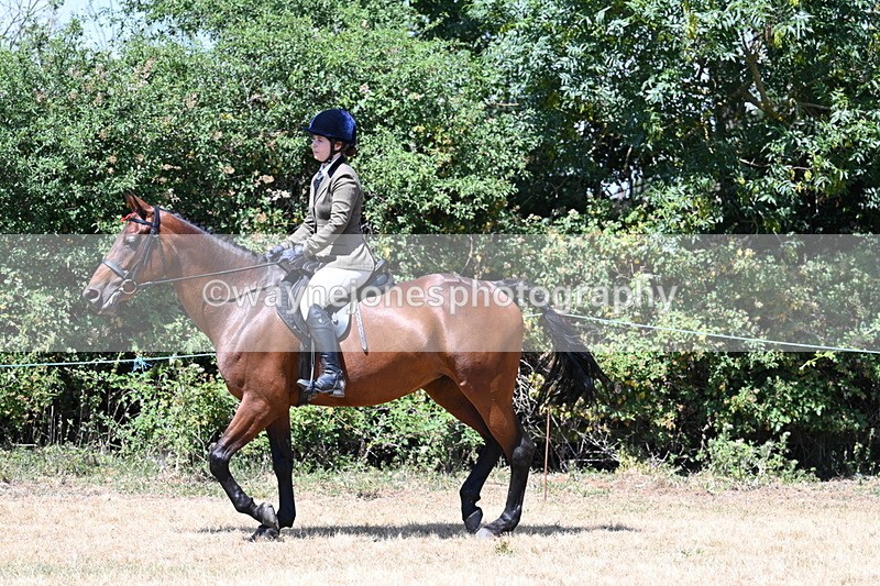 WJ7_2772 - Class 7 Riding Club Show Horse