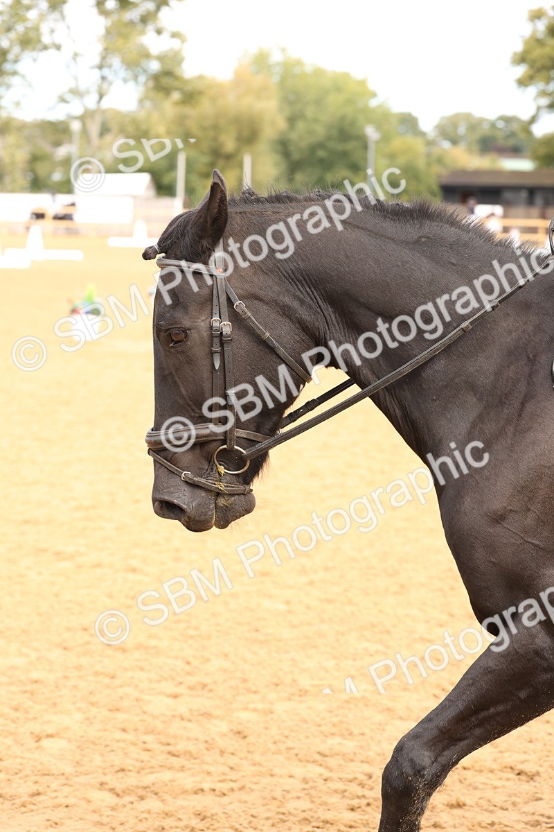 SBM_40660 - D6 - Small Tour Championship Intro 4