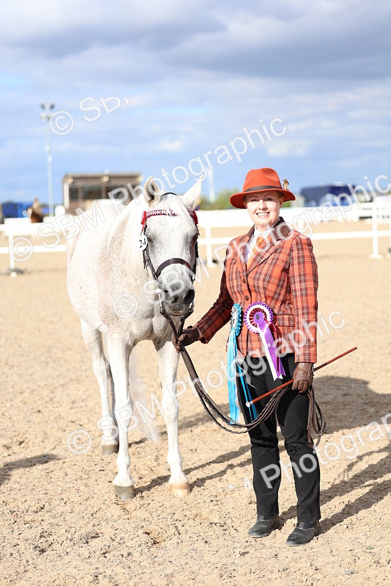 SBM_18798 - Class 317 - IH Pure Bred Horse-Pony