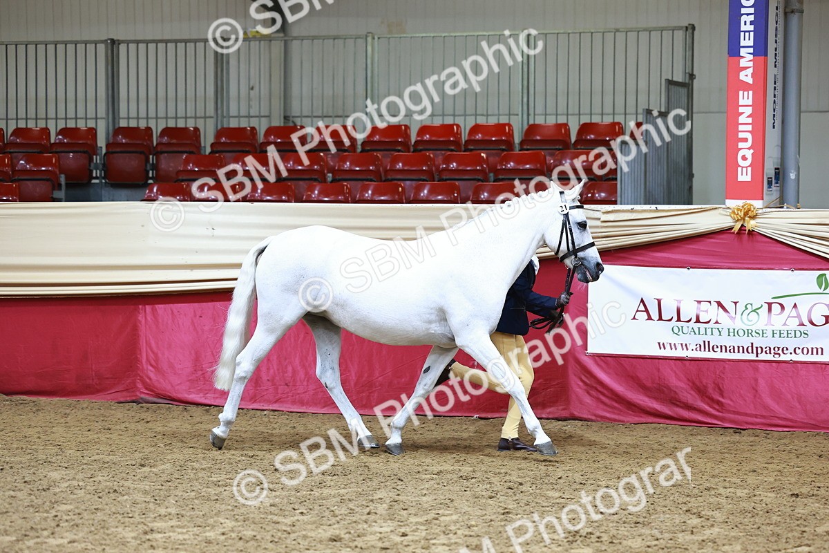 SBM_22262 - Class 902 - Supreme Final - IH Diamond