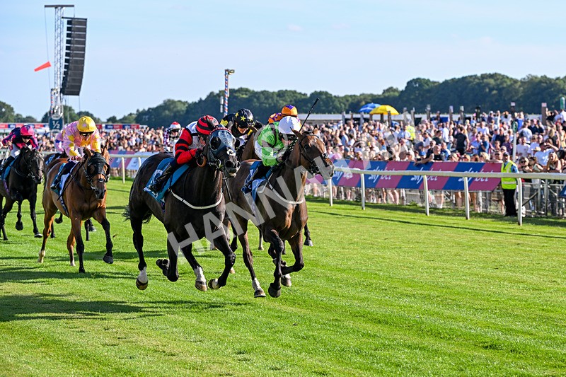 240726-Race 2-Vaguely Royal-5111 - Race 2 18.05pm Elevator Company Handicap