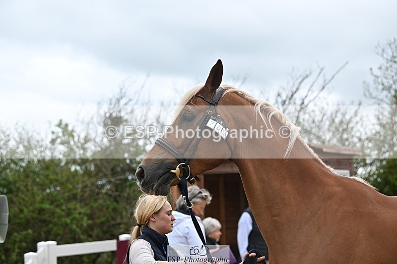 250423-115445-00158 - 11am to 12