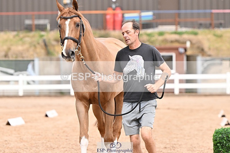 250716-153936-02090 - Trot Up 3.30 to 4.30