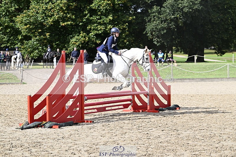 251005A-121928-03724 - Cls 08 Mini 70-75cm