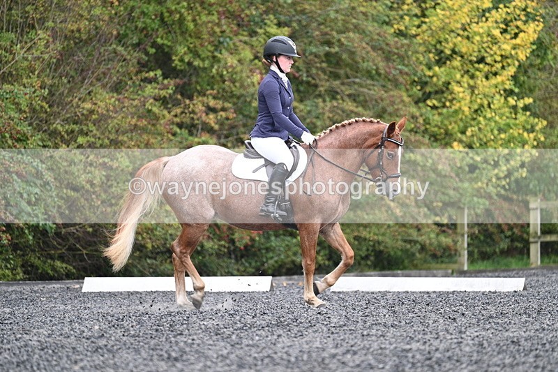 WJ7_3317 - Time 09:54 to 10:54