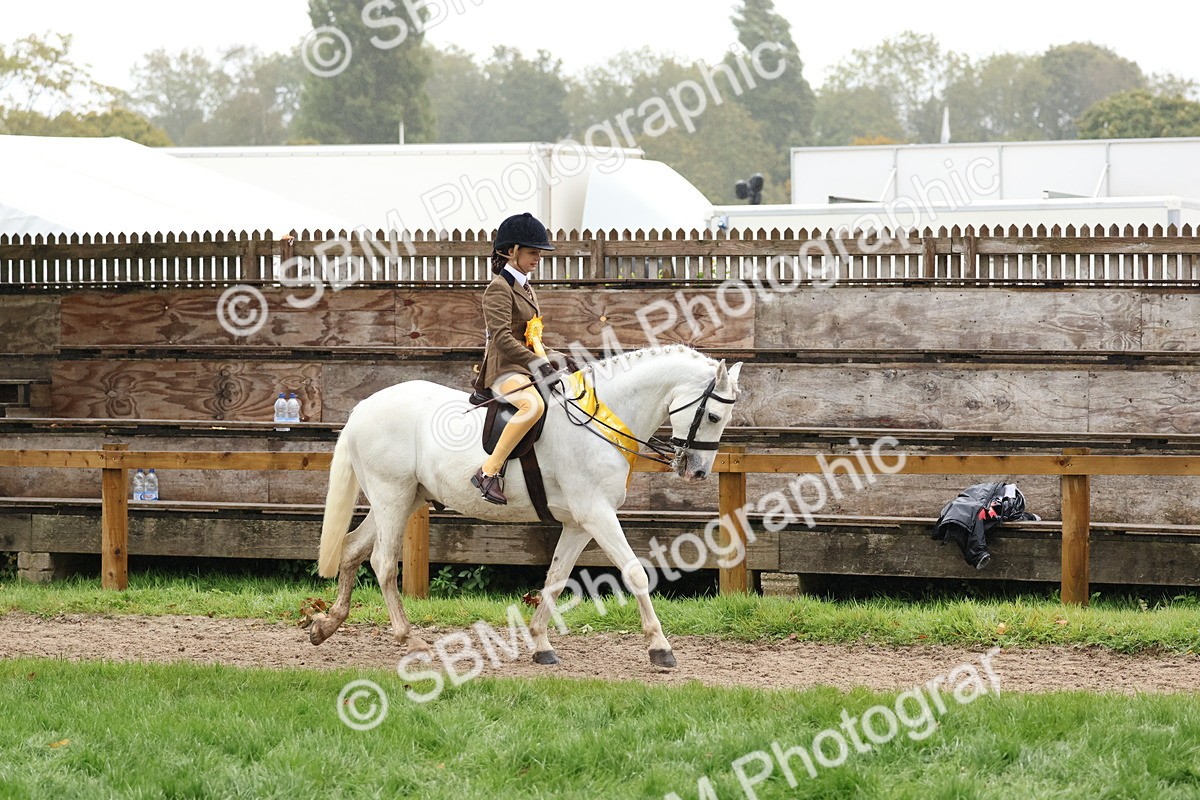 SBM_73098 - Ridden Pony Supreme Championship