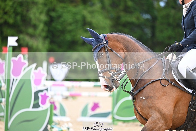 240526-155152-25139 - 214-DSH_GOLDEN_EYE-Lucinda_Mesquita