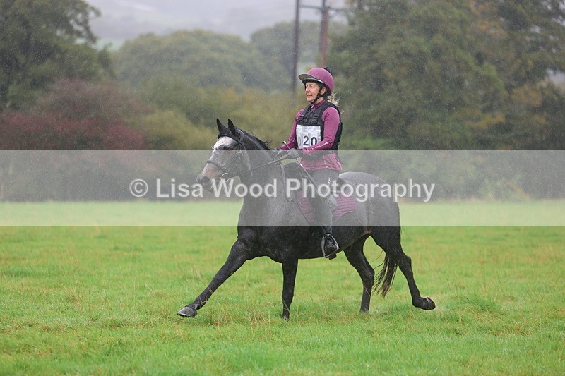 3E7A0974 - Class 1: 65cm: Rails