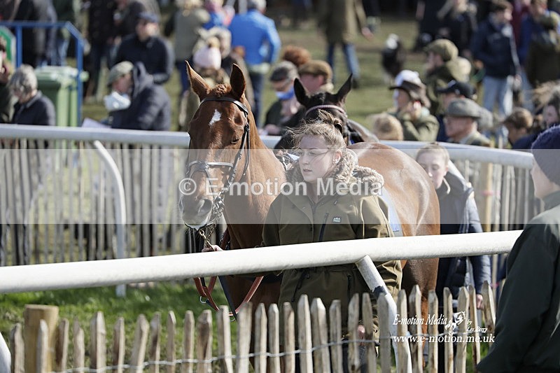 PtP 100423 824 - Old Berkshire Point-to-Point Lockinge 10/04/23
