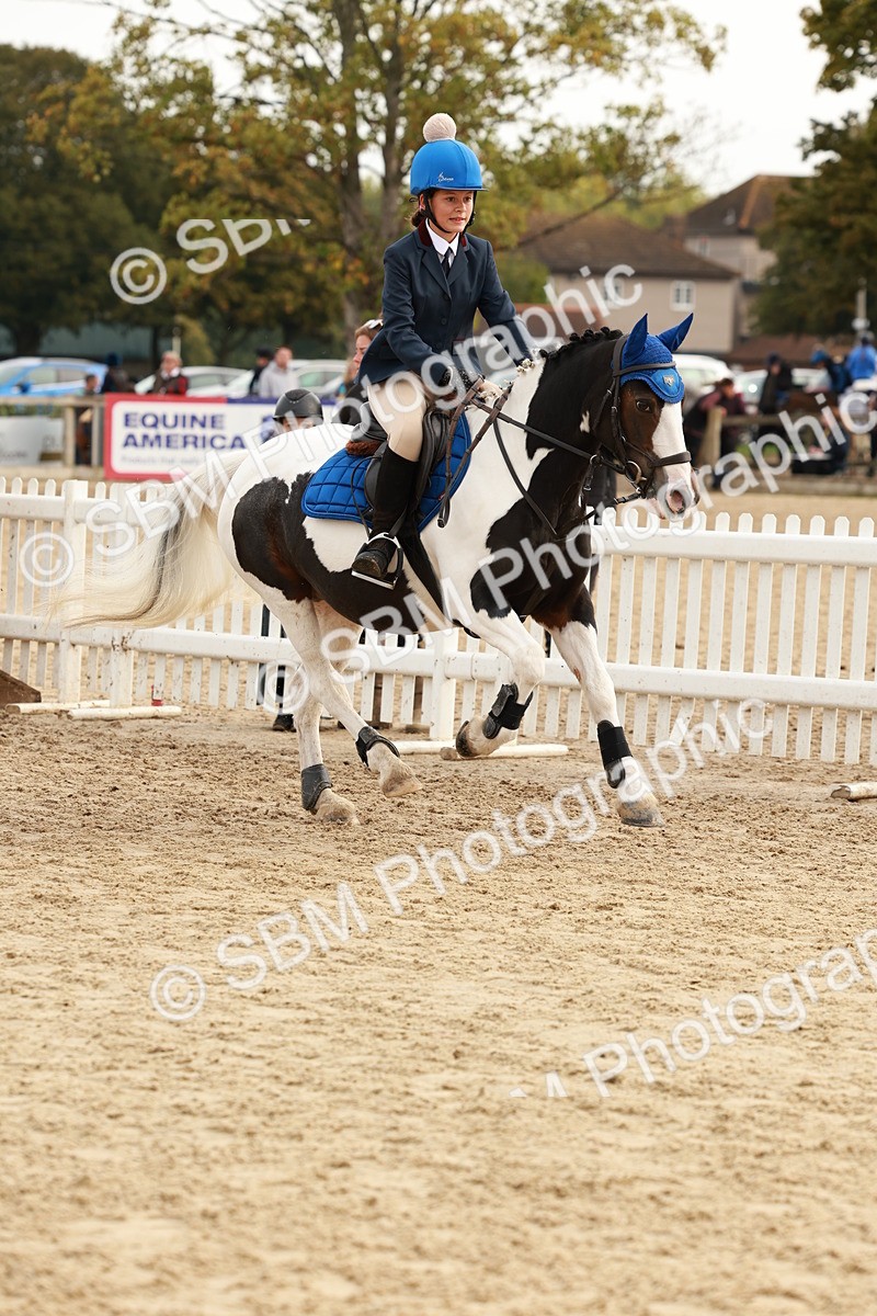 SBM_57695 - J11 - Junior Pony 50cm Championship