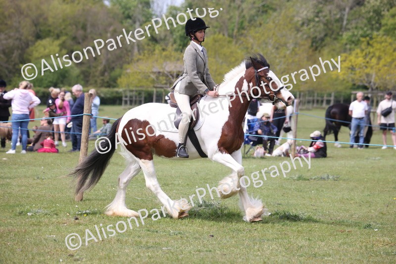 20260426-2974 - Class 33 - Best Pony 14.2hh and Under