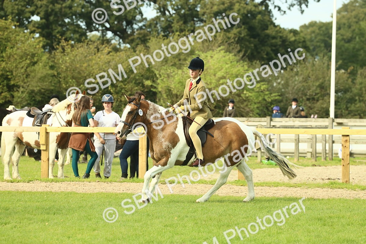 SBM_68120 - S57 - Part Bred Pony Ridden
