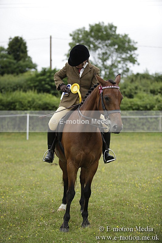 BVR160717-1054 - Ring 1 BVRC Show 16/07/17