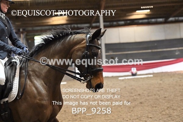BPP_9258 - ELEM 6