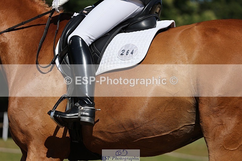 240719-093742-00207 - 264-Kate_Lewis-freeloader