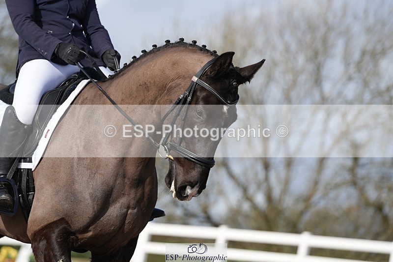 260213-114631-00129 - 129-Theo.Funnell
