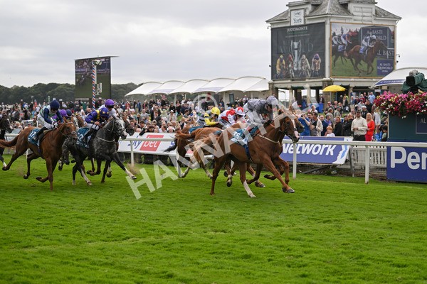 220824-Race 3-Thunder Run-7042 - Race 3 3.00pm Clipper Handicap