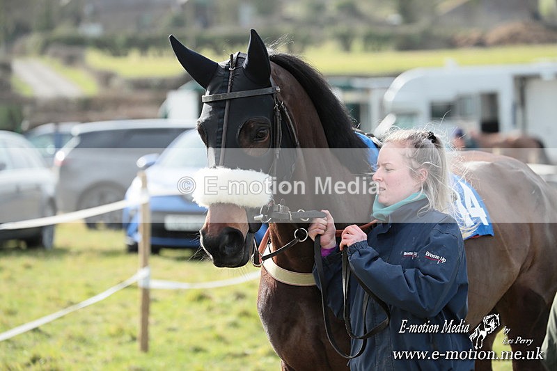 PtP 220225 410 - Kimblewick Point-to-Point  Kingston Blount 22/02/25