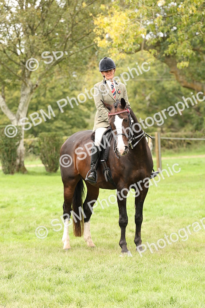 SBM_64276 - S65 - Riding Horse & Hack & Thoroughbred Ridden