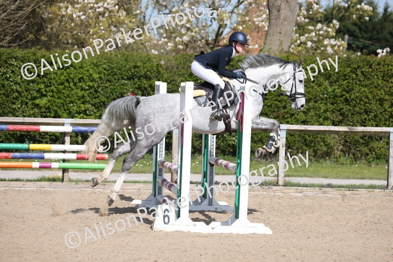20250409-0627 - Class 4 - Pony British Novice
