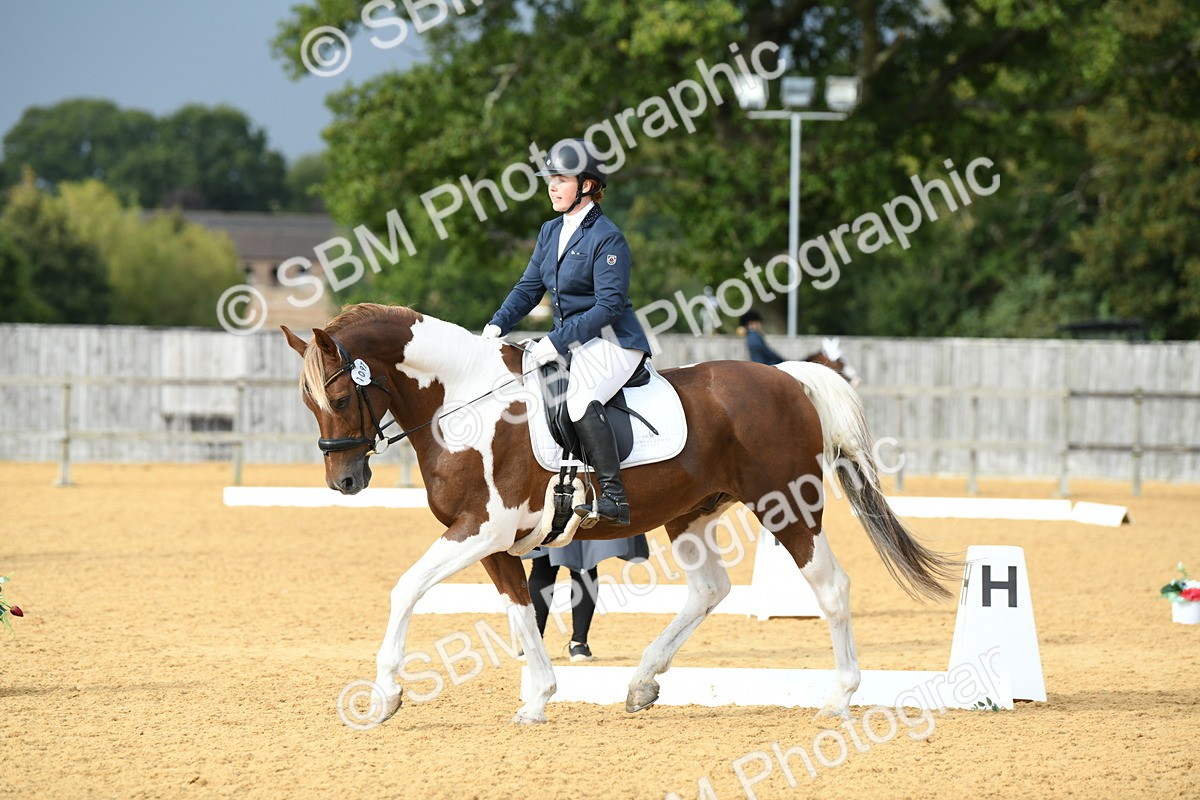 SBM_11042 - D28 Elementary Taster Elementary 42