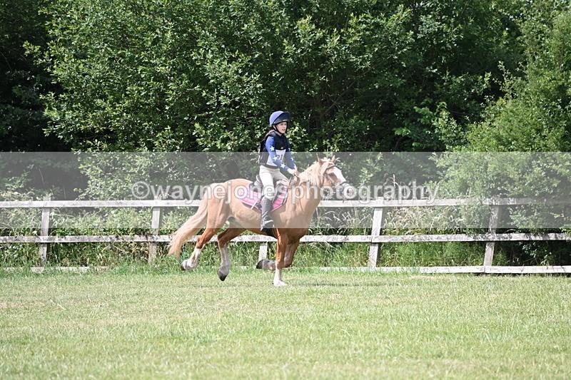 WJ6_6857 - 80cm XC Pairs