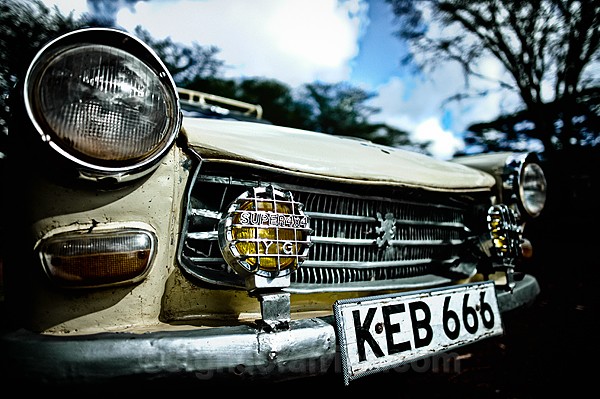 Peugeot 404, Lewa Wildlife Conservancy, Kenya