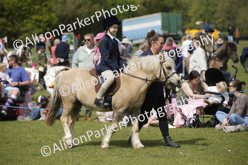 20260426-1826 - Class 7 - Pony Judge Would Most Like To Take Home