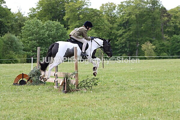 IMG_2931 - Working Hunter